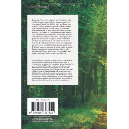 Soigner le vide intérieur - un guide pour le bien être émotionnel et spirituel